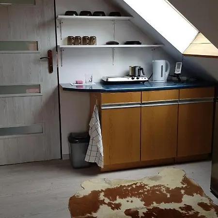 Turystyczny Apartament Na Poddaszu Skoczow Exterior photo