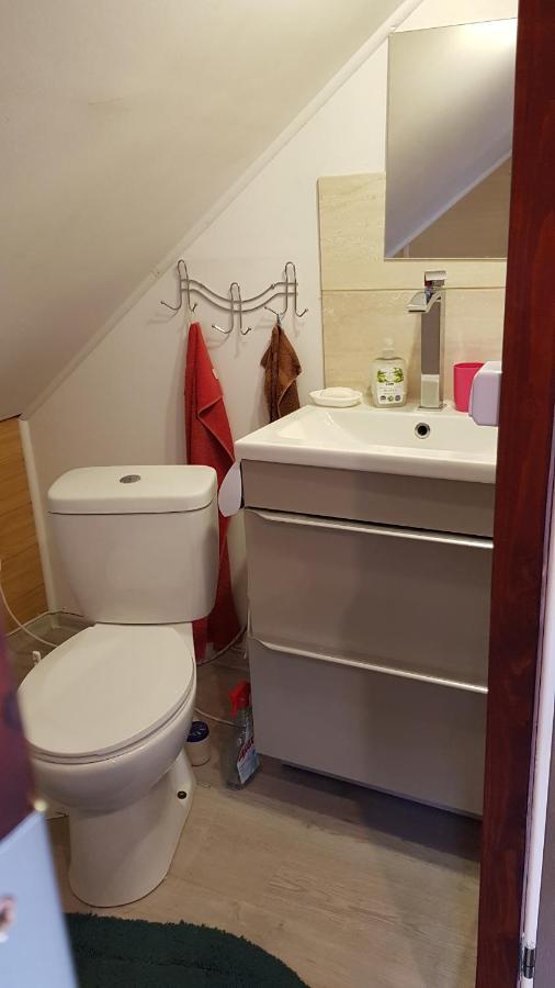 Turystyczny Na Poddaszu Apartment Skoczów