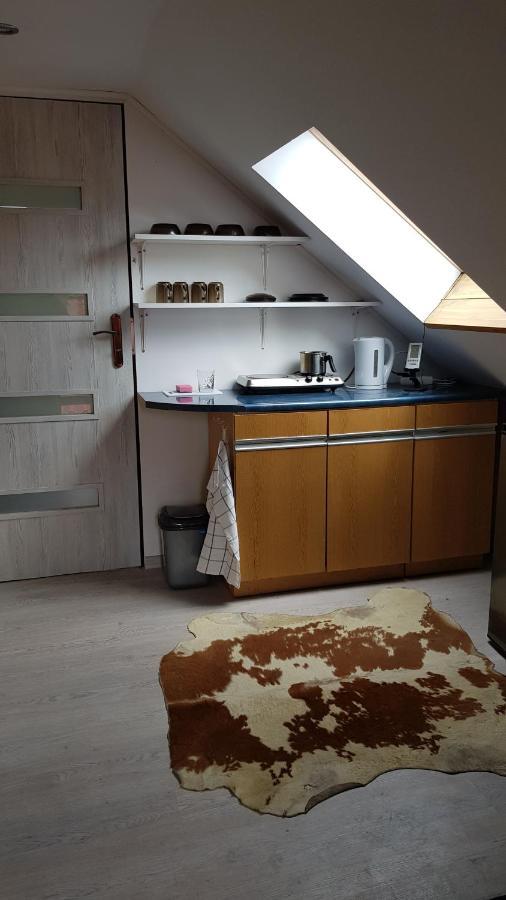 Turystyczny Na Poddaszu Apartment *